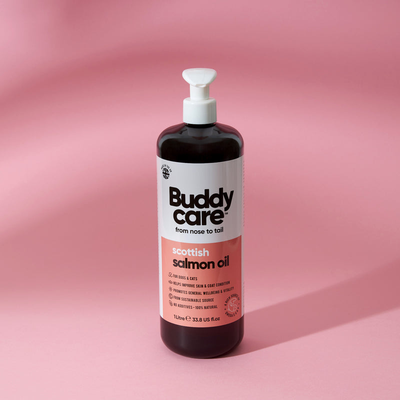 Buddy Care Salmon Oil- 500 Ml - Set of 2