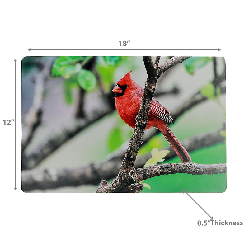 Plastic Placemat Cardinal 12 X 18 - Set of 12