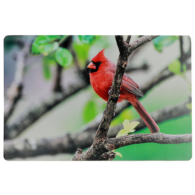 Plastic Placemat Cardinal 12 X 18 - Set of 12