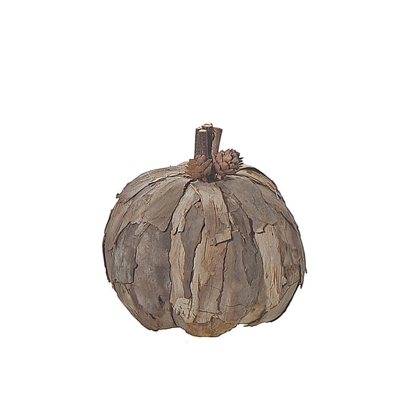 Tree Bark Pumpkin Small