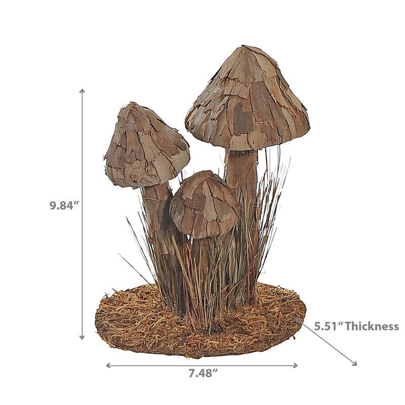 Tree Bark Mushroom Brown