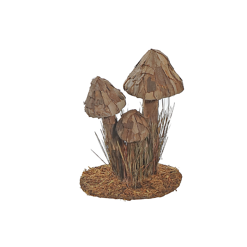 Tree Bark Mushroom Brown