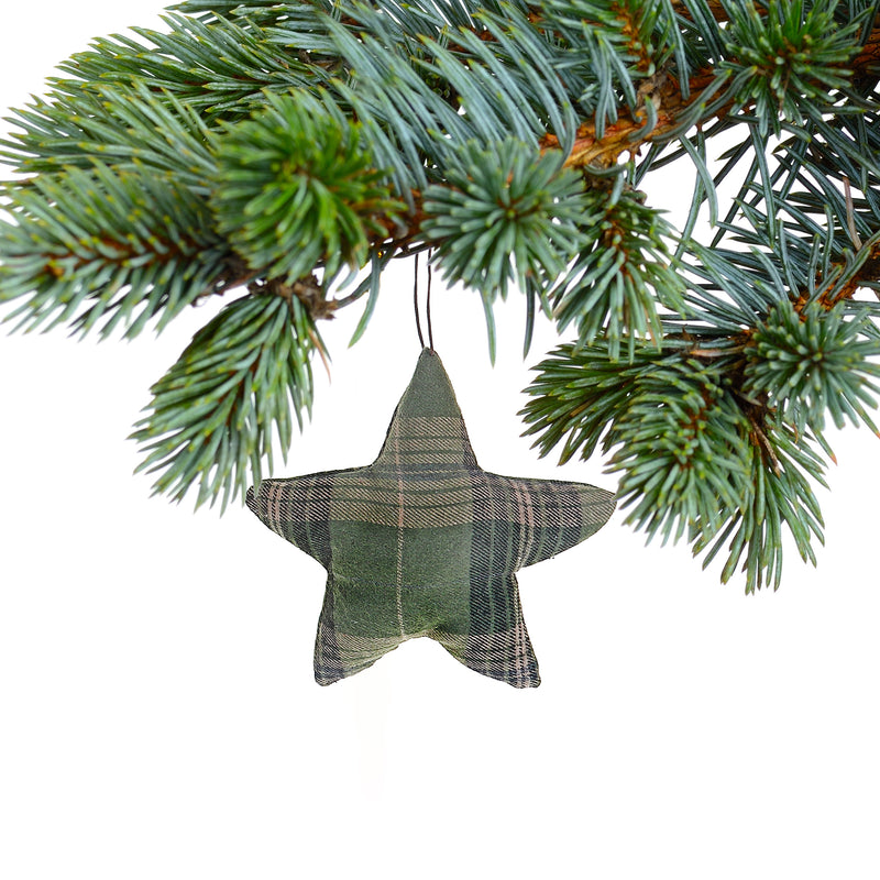 Star Ornament Large - Set of 12