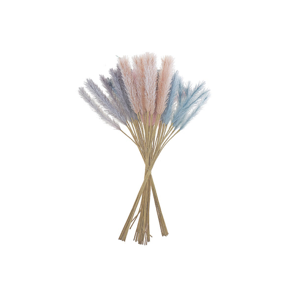 Pampas Pick - Set of 6