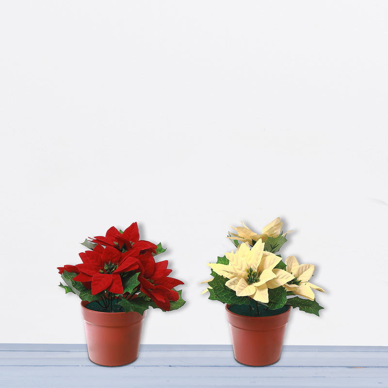 Poinsettia Pot - Set of 2