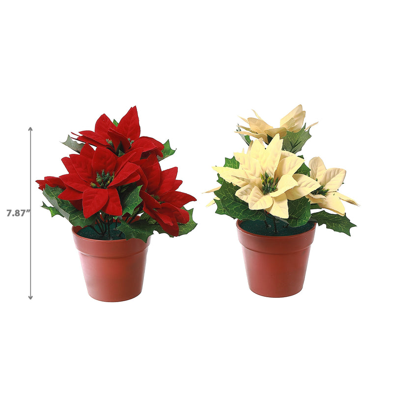 Poinsettia Pot - Set of 2