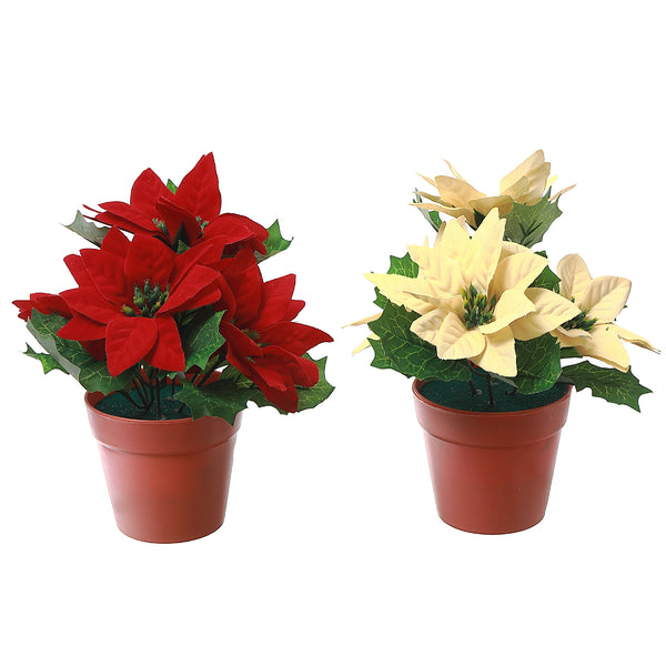 Poinsettia Pot - Set of 2