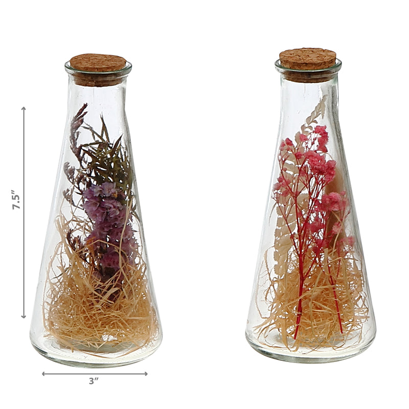 Dried Floral Arrangement In Glass Triangular Tube Asstd - Set of 2