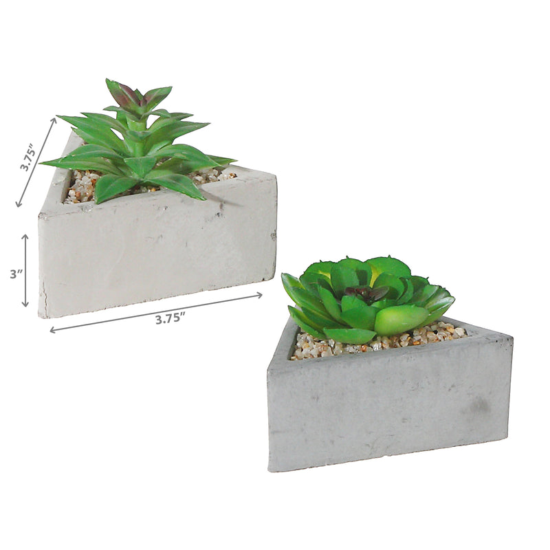 Artificial Succulent In Triangular Cement Pot Asstd - Set of 2