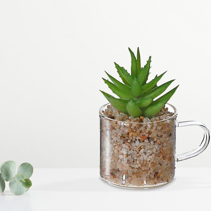 Artificial Succulent In Glass Cup Asstd - Set of 2