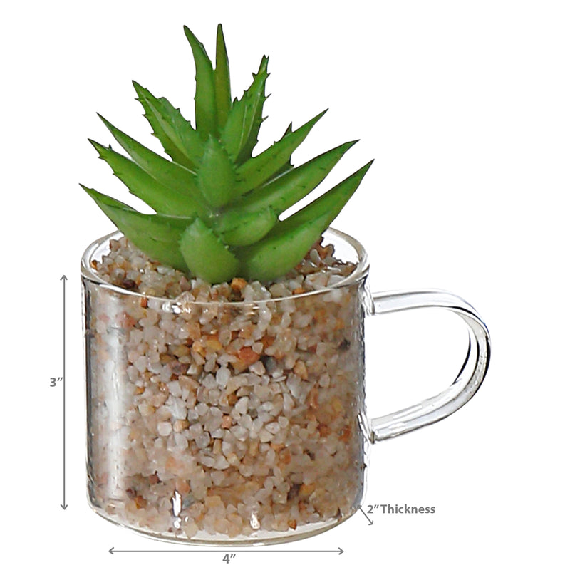 Artificial Succulent In Glass Cup Asstd - Set of 2