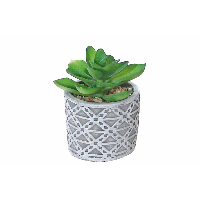 Artificial Succulent In Round Cement Pot Asstd - Set of 2