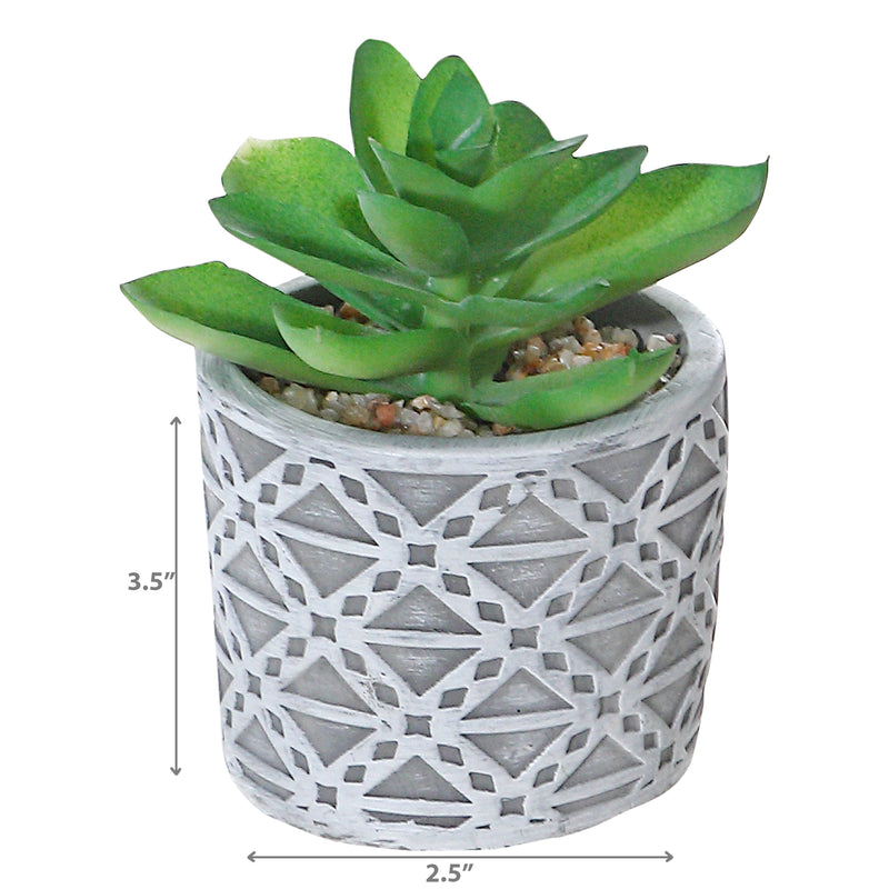 Artificial Succulent In Round Cement Pot Asstd - Set of 2