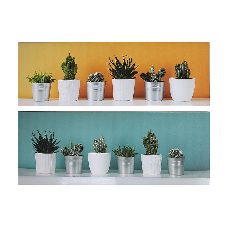 Canvas Wall Art (Succulents) (Asstd) - Set of 2