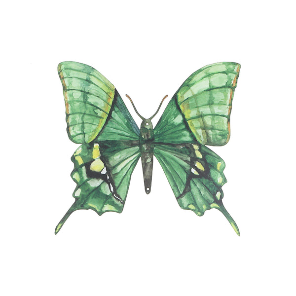 Metal Butterfly Wall Decor Green