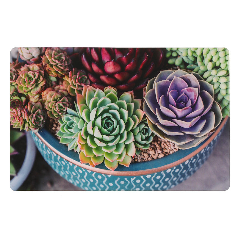 Plastic Placemat (Potted Succulents) - Set of 12