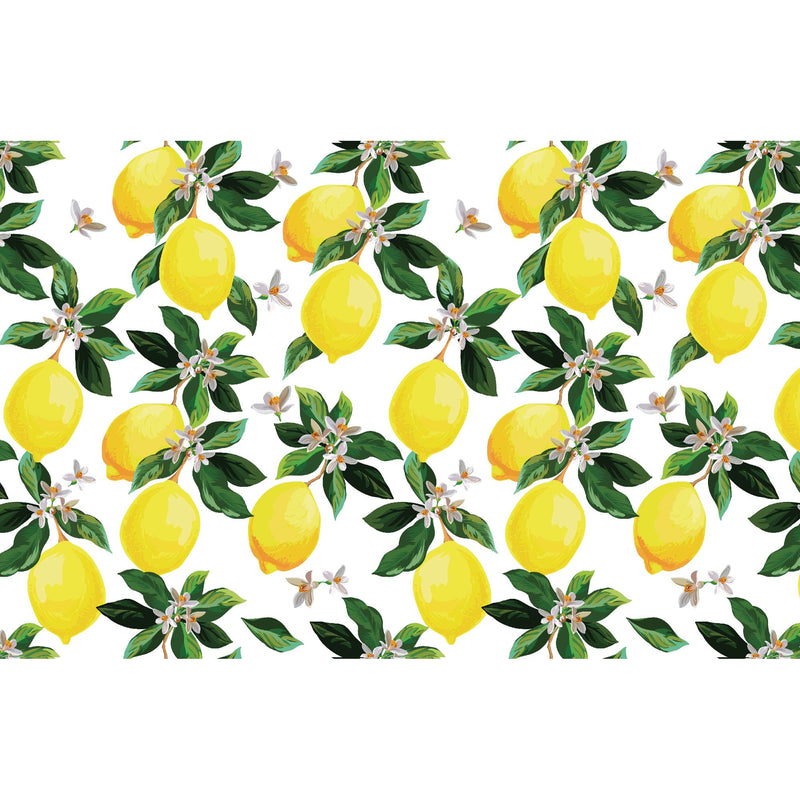 Plastic Placemat Lemon Branches - Set of 12