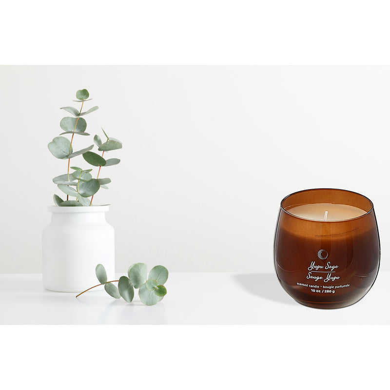 10Oz High Gloss Curved Candle Yuzu Sage