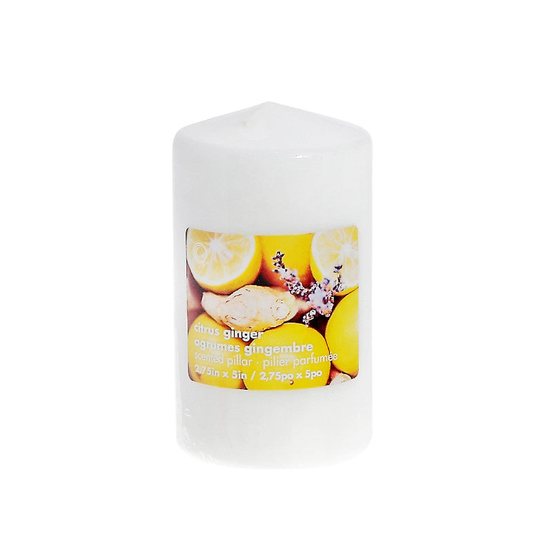 2.75" X 5" Scented Pillar (Citrus Ginger) - Set of 2