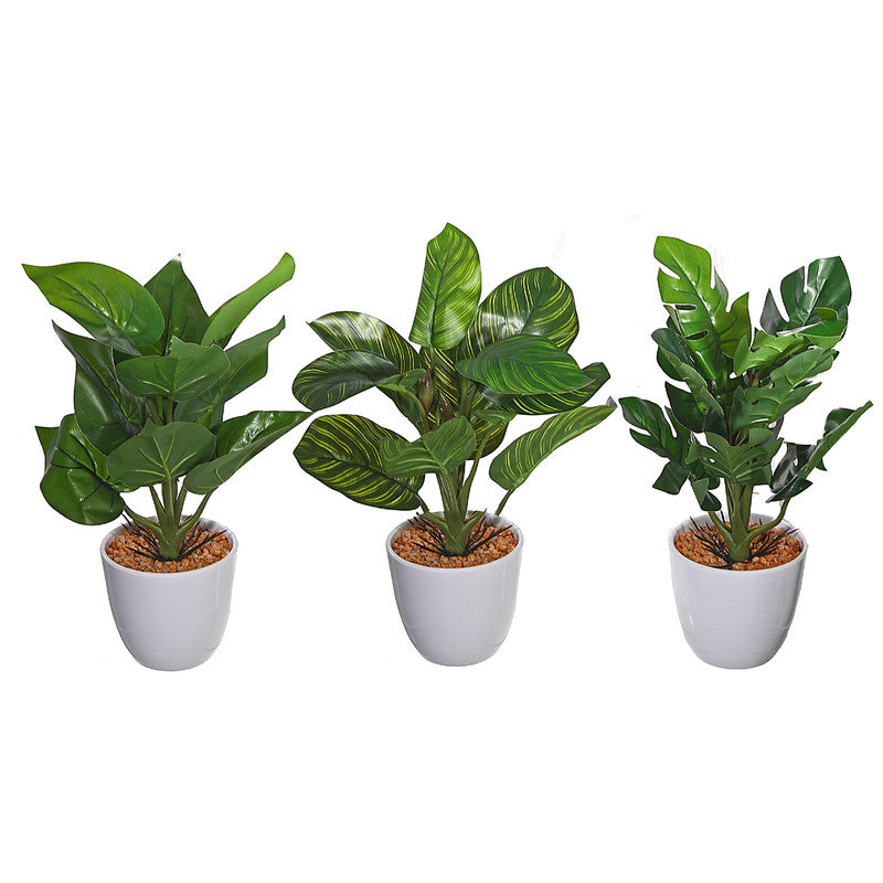 Artificial Plants In White Plastic Pot (Asstd) - Set of 3