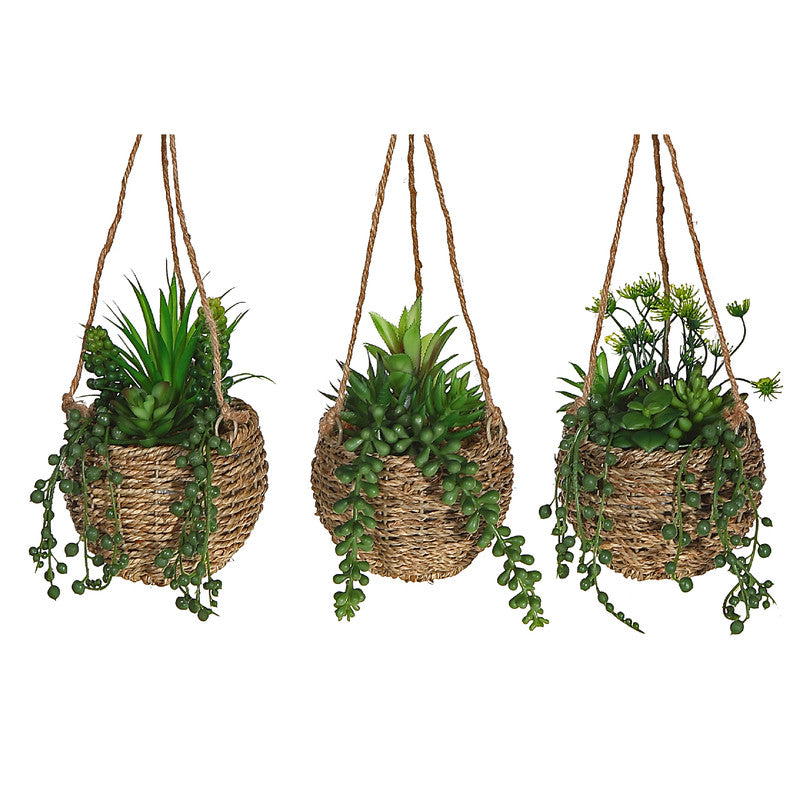 Artificial Succulents In Hanging Rope Pot (Asstd) - Set of 3