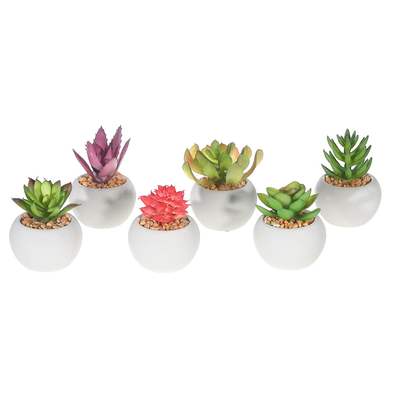 Artificial Succulents In Round Cement Pot Asstd - Set of 6