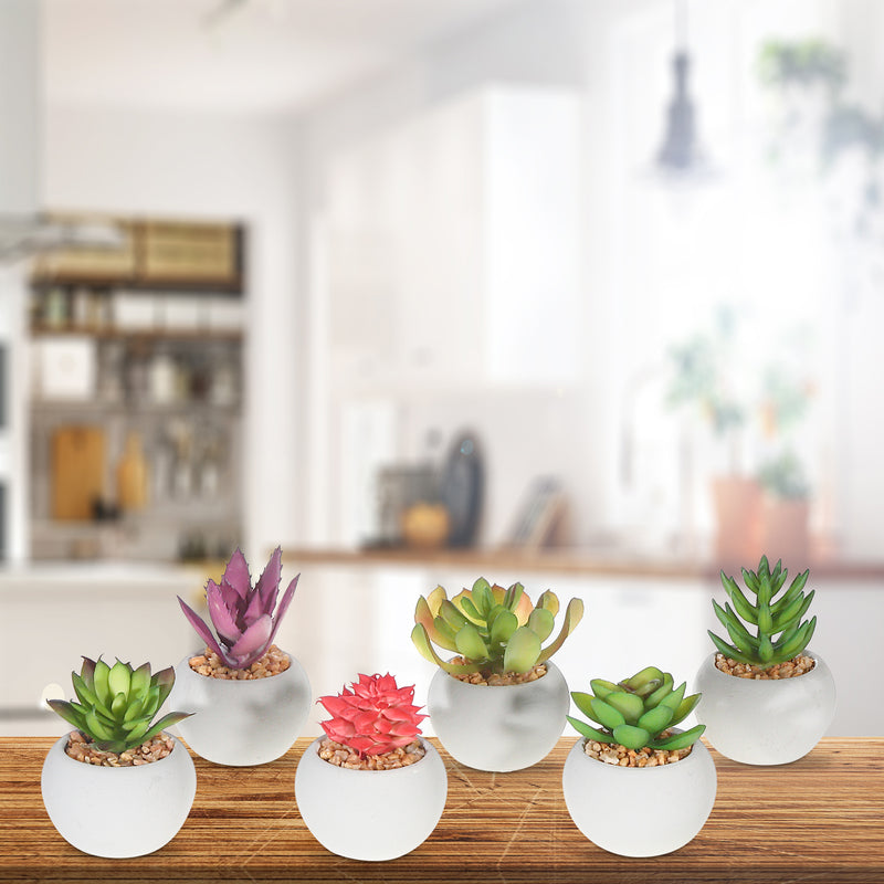 Artificial Succulents In Round Cement Pot Asstd - Set of 6