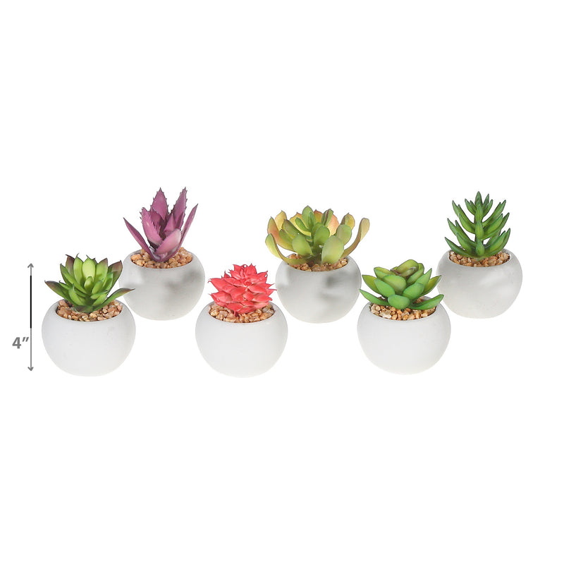 Artificial Succulents In Round Cement Pot Asstd - Set of 6