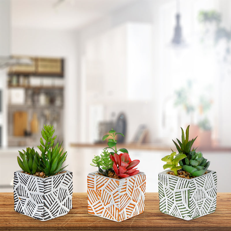 Artificial Succulents In Square Tiled Cement Pot Asstd - Set of 3