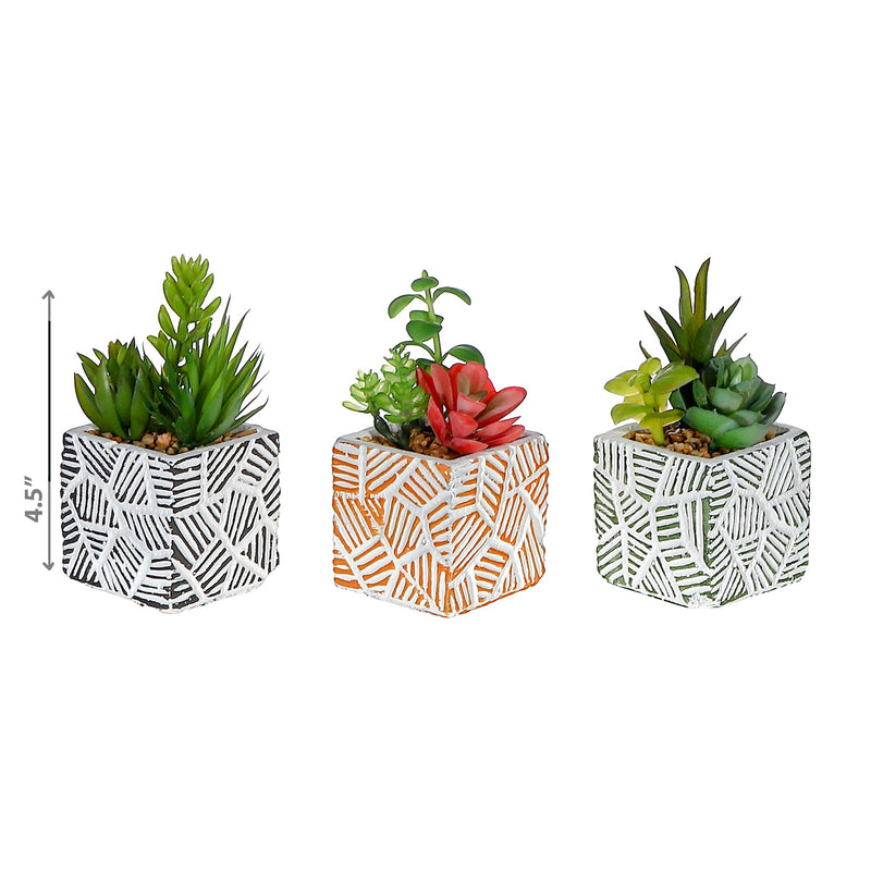 Artificial Succulents In Square Tiled Cement Pot Asstd - Set of 3