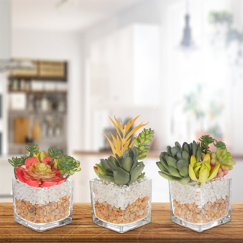 Artificial Succulents In Square Glass Planter Asstd - Set of 3