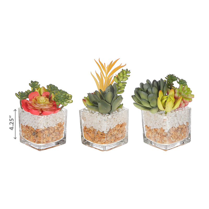 Artificial Succulents In Square Glass Planter Asstd - Set of 3