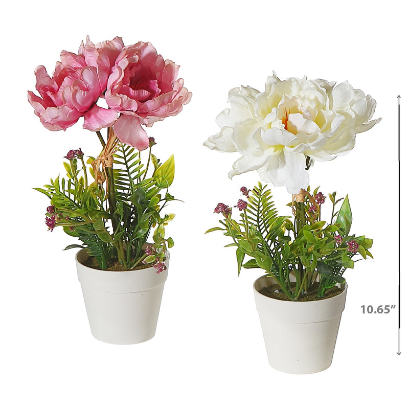 Artificial Peony In Plastic Pot Asstd - Set of 2