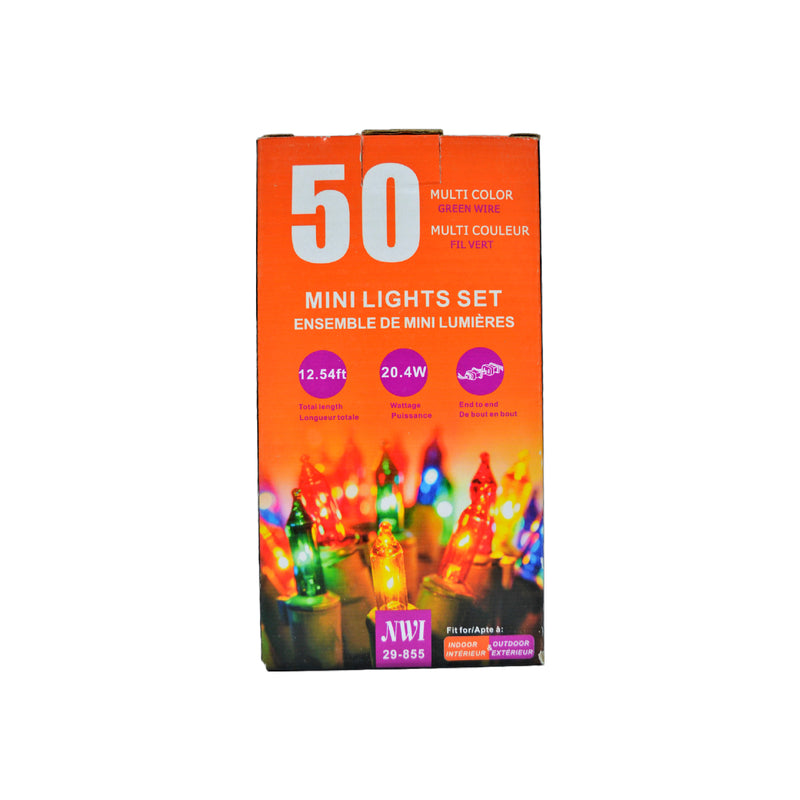 50 Lt Indoor/Outdoor Mini Light Set (Multi Bulbs) - Set of 2