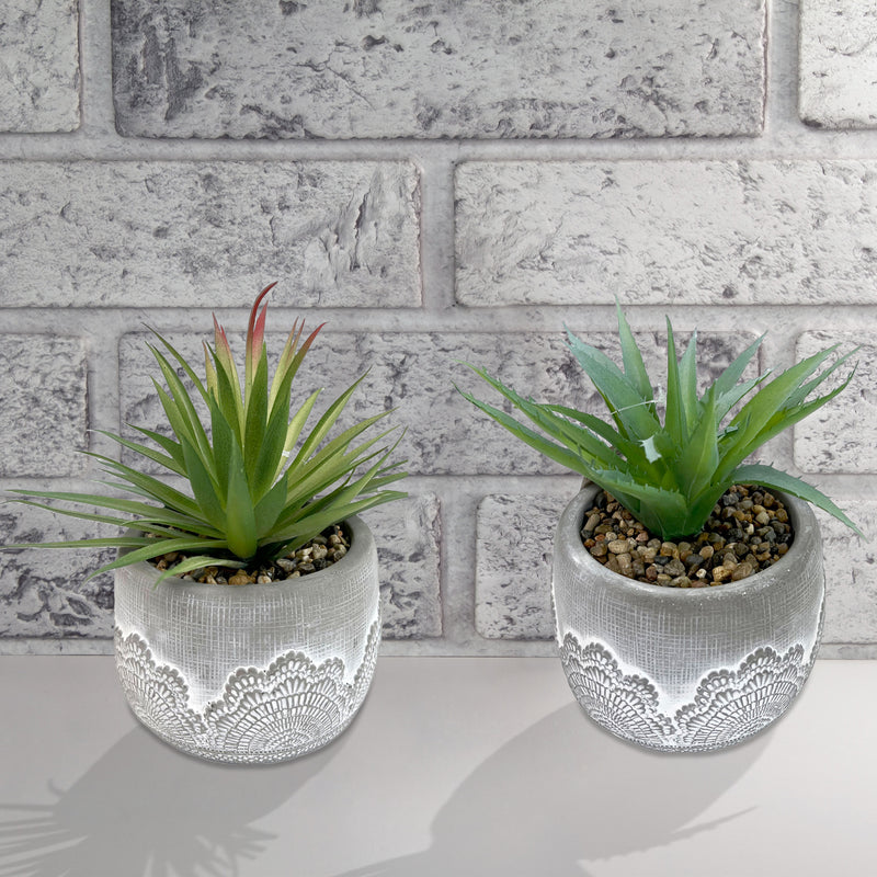 Artificial Succulents In Ceramic Gray Pot Asstd - Set of 2