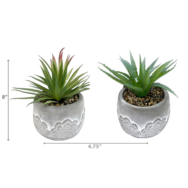 Artificial Succulents In Ceramic Gray Pot Asstd - Set of 2