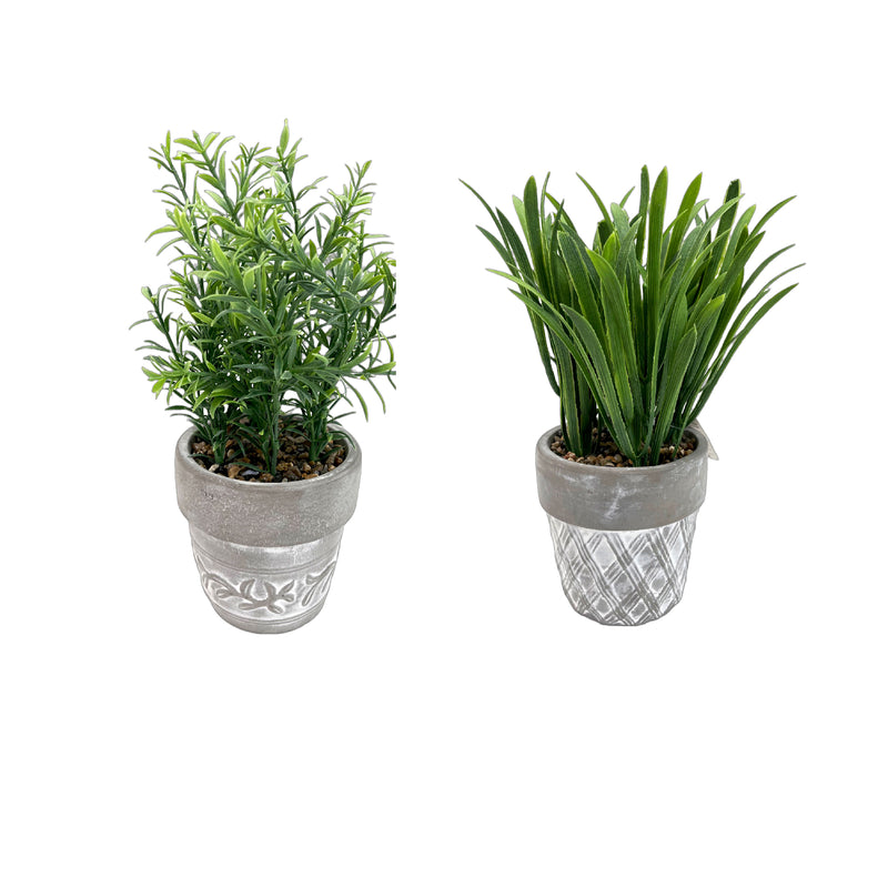 Artificial Plants In Ceramic Gray Pot Asstd - Set of 2