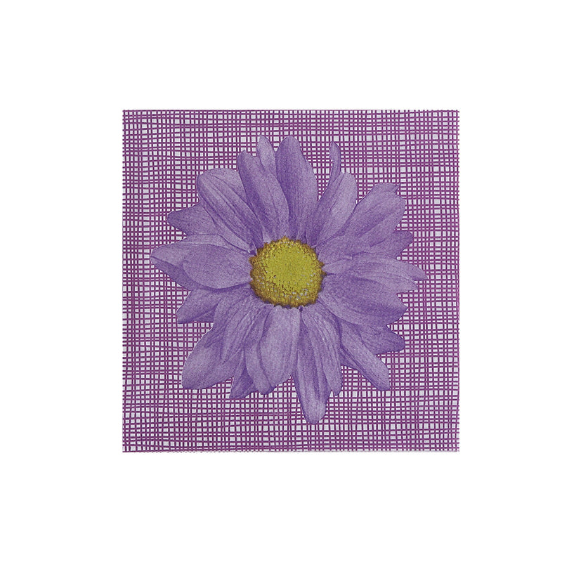 20 Pack Luncheon 3 Ply Napkin Purple Daisy - Set of 6