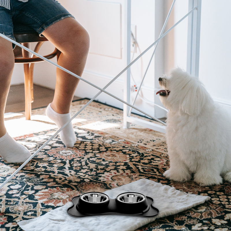 Bone Shaped Anti Spillage Double Pet Bowl Black